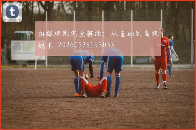 排球规则完全解读：从基础到高级战术_20260528193033