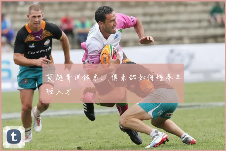 英超青训体系：俱乐部如何培养年轻人才